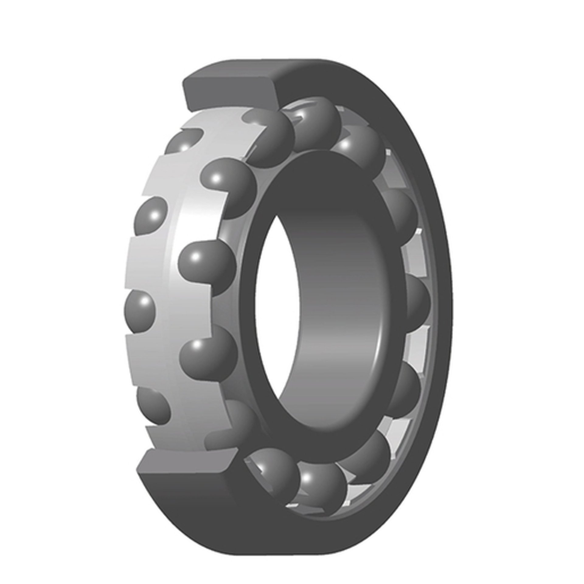21306 CC SKF